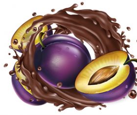 Plum and chocolate splash vector