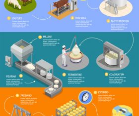 Production cheese vector