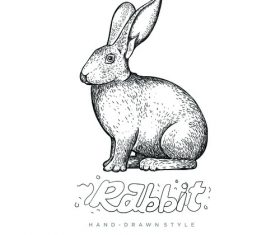 Rabbit hand drawing illustration black and white vector
