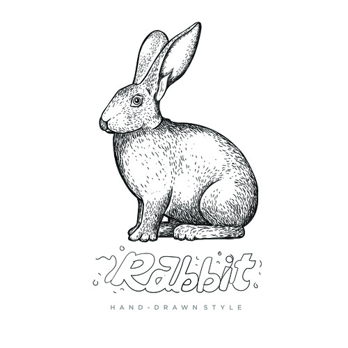 Rabbit hand drawing illustration black and white vector