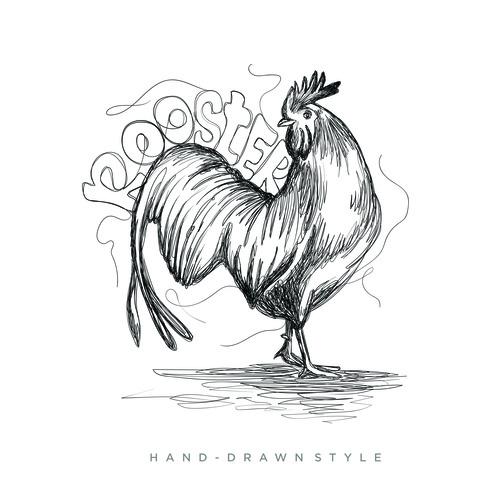 Rooster hand drawing illustration black and white vector