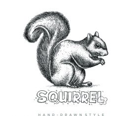Squirrel hand drawing illustration black and white vector