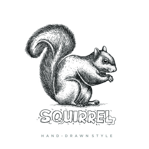 Squirrel hand drawing illustration black and white vector