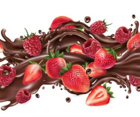 Strawberry and chocolate vector