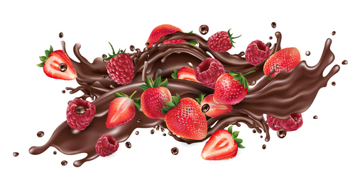 Strawberry and chocolate vector