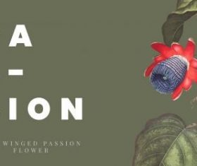 The winged passion flower banner vector