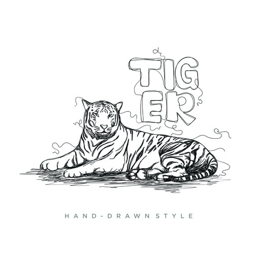 Tiger hand drawing illustration black and white vector