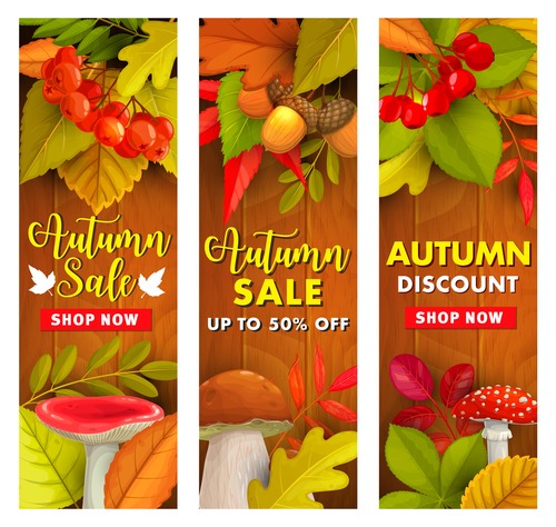Various product discount banners vector
