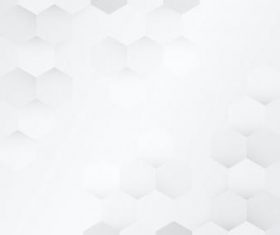 White and gray hexagon pattern background vector