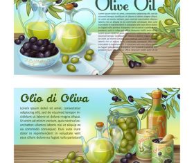 Banner olive products vector