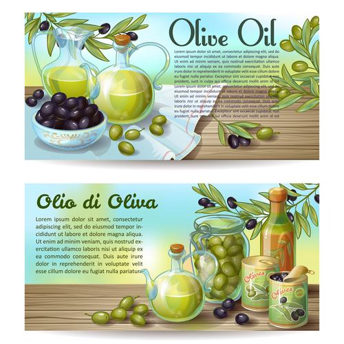 Banner olive products vector
