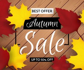 Best offer autumn leaves background vector