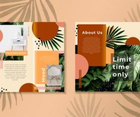 Brochure vector template