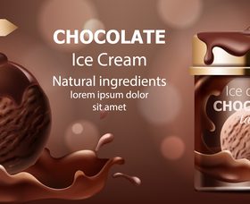 Chocolate ice cream vector