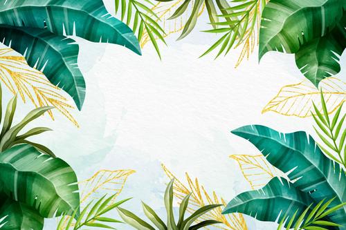Coconut leaf background vector free download