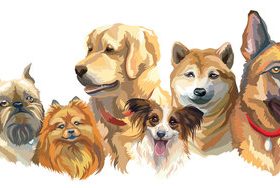 Dog portrait vector