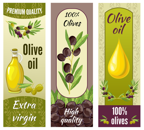 Erect olive product banner vector