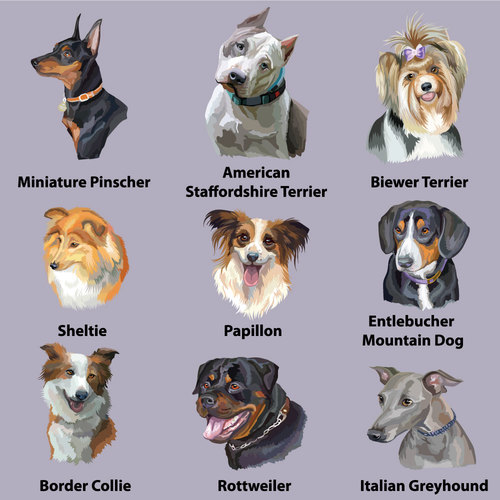 Famous dog name vector
