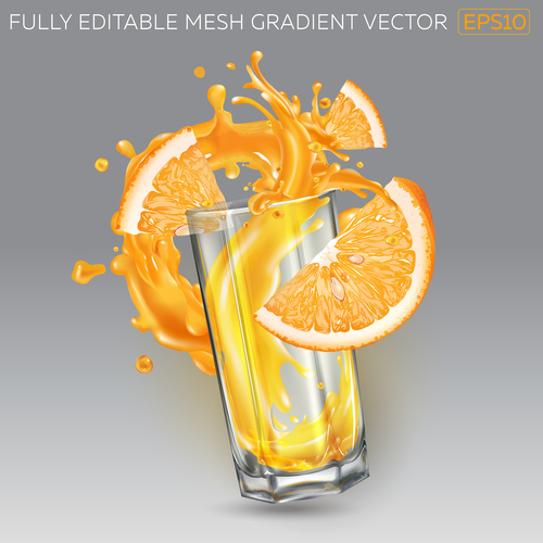 Fresh orange juice realistic illustration vector