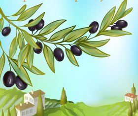 High quality olive producing area vector