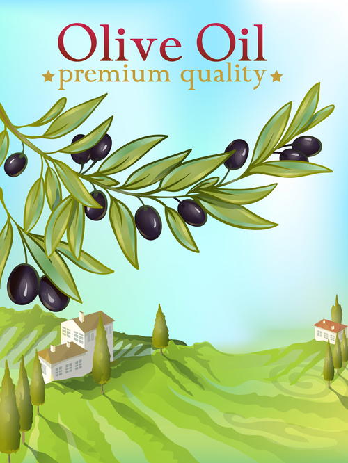 High quality olive producing area vector