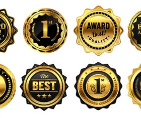 Luxury premium badges vector