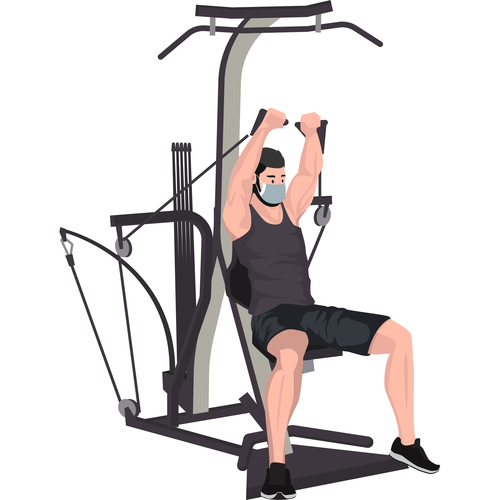 Male upper body exercise vector