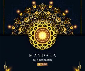 Mandala Bright Pattern Vector