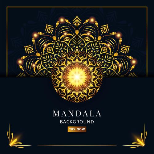 Mysterious mandala pattern vector