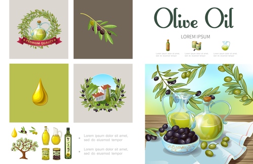 Olive oil product vector