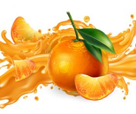 Oranges and orange juice realistic illustration vector