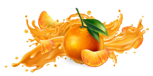 Oranges and orange juice realistic illustration vector