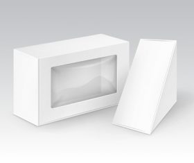 Rectangle and triangle cardboard box for vector