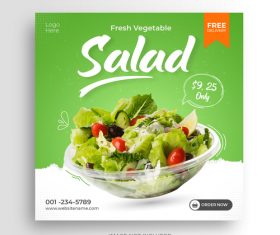 Vegetable salad vector