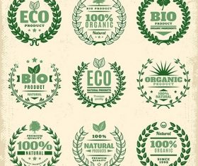 Vintage green eco product labels set vector