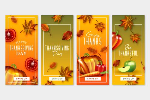 Banner thanksgiving greeting card vector