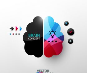 Brain concept abstract infographics vector