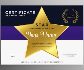Brand certification certificate vector