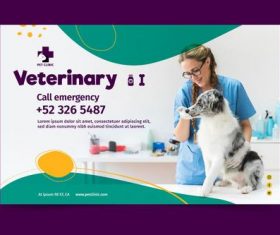 Caring for pets veterinarian vector