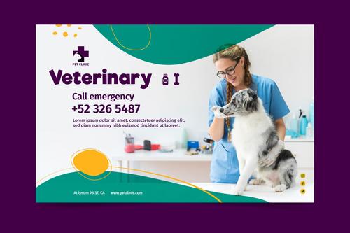 Caring for pets veterinarian vector