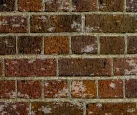 Colorful wall background vector