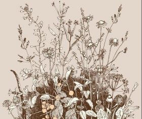 Contour wild flowers background vector