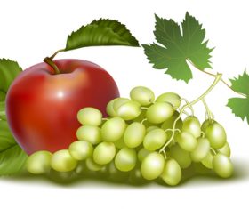 Drunk golden fragrance grape and apple vector