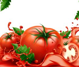 Fresh tomatoand and tomatoand juice vector