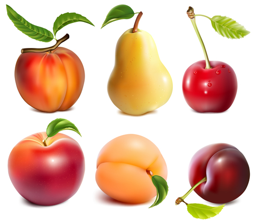 Freshly picked fruit vector