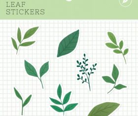 Leaf stickers package vector