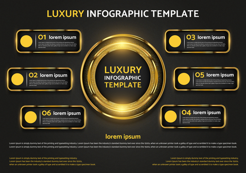 Luxury infographic template vector