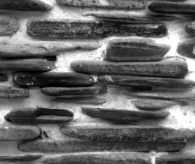 Black stone texture vector