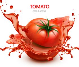 Tomato juice splash vector