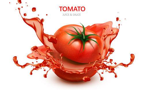 Tomato juice splash vector
